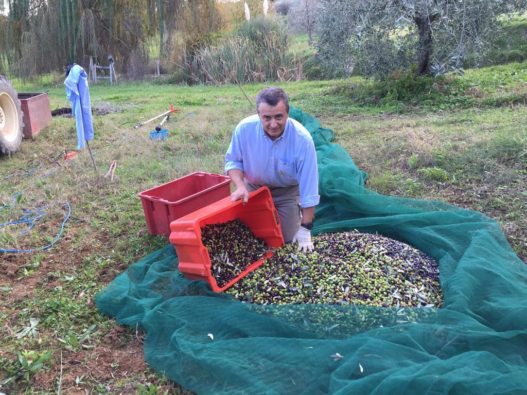 Agriturismo San Giovanni شيتونا المظهر الخارجي الصورة